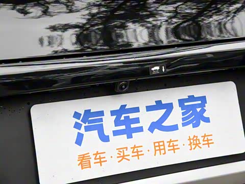 2025�� �Ǽݰ� DM-i 115KM �����