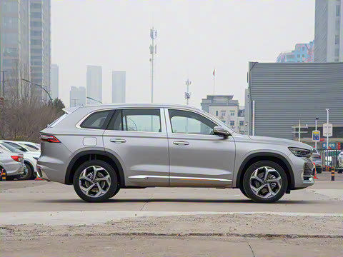 2025�� 2.0TD �Զ����ư�