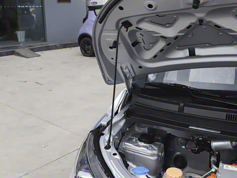 2025�� 305km ������