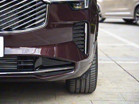 2025�� �Ŀ� T8 ��������� 7��