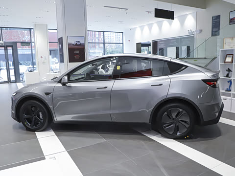 2025�� ����������