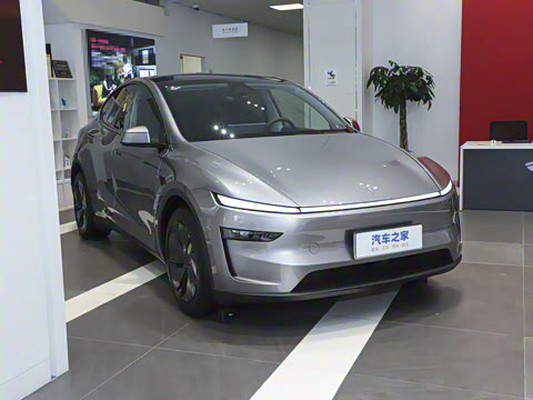 2025�� ����������