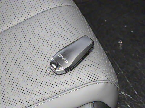 2025�� DM-i �Ǽݰ� 120KM��Խ��