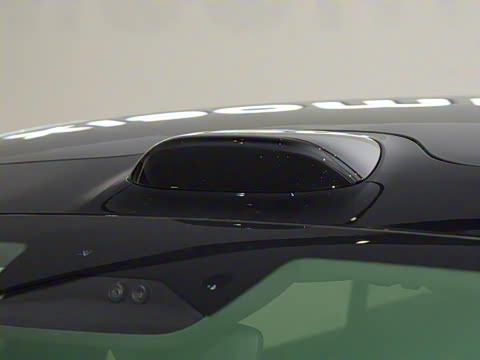 2025�� ������������������Max��