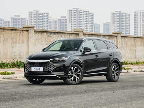 2025�� �Ǽݰ� DM-i 115KM ������