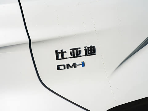 2025�� DM-i �Ǽݰ� 160KM �콢��