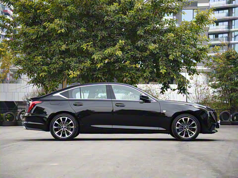 2025�� 28T �����˶���