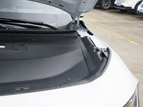 2025�� ����������Max