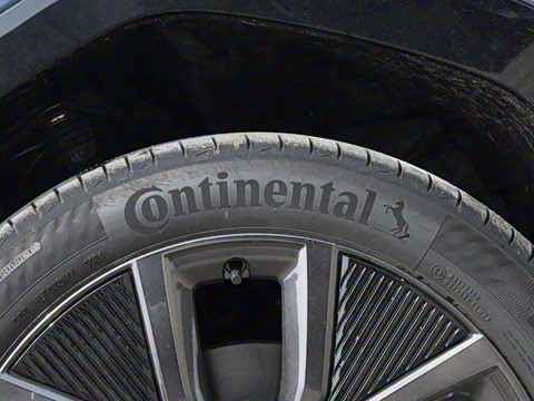 2025�� ����������Max