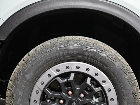 2025�� ɳ���ر�� ����