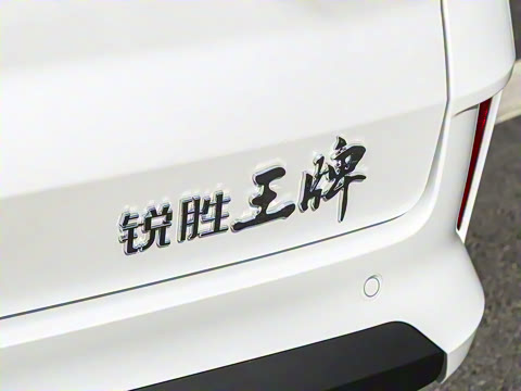 2025�� 1.6L �ֶ���������� 7��