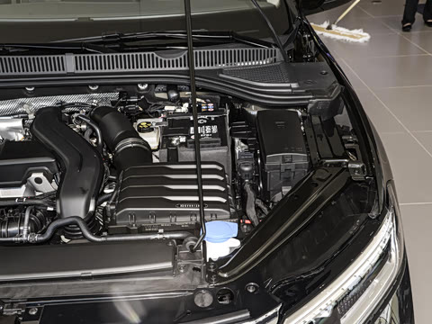 2025�� �Ŀ�� 300TSI DSG׿Խ��