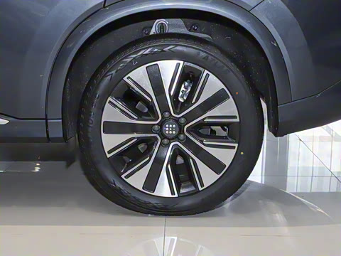 2025�� 165km ���������ж��ư� 5��