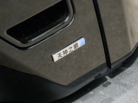 2025�� 501KM ����Max��