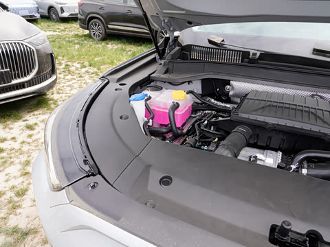 2025�� 120 �������������� 7�� ��Ԫ�