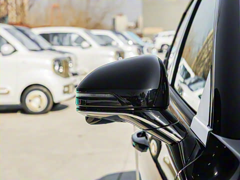 2025�� ��ҫ�� 1.5T ����ʿ