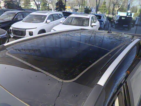 2025�� 1.5T DCT��ԽPRO 7��