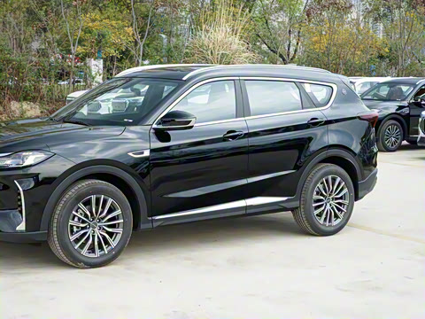 2024�� �ھ��� 1.5T DCT�ھ�MAX 7��