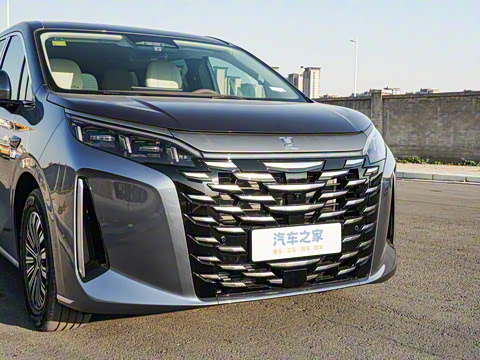 2025�� DM-i 1.5T 180km ��Խ��