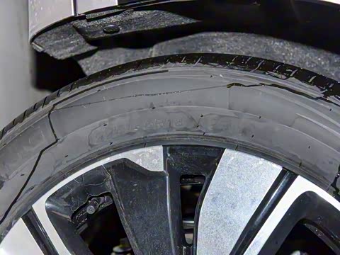 2025�� ��������� 525������