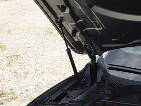 2025�� 260������������