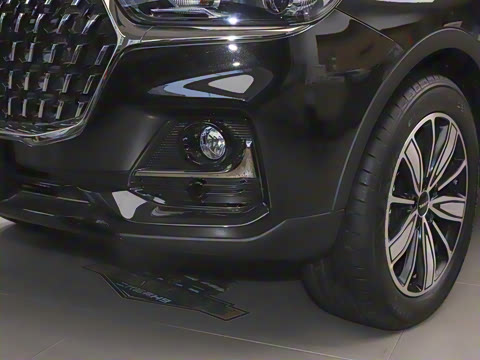 2023�� ������ 1.5T �Զ��ھ���