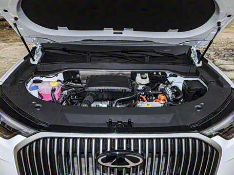 2025�� 1.5T 106KM������ 7�� �������