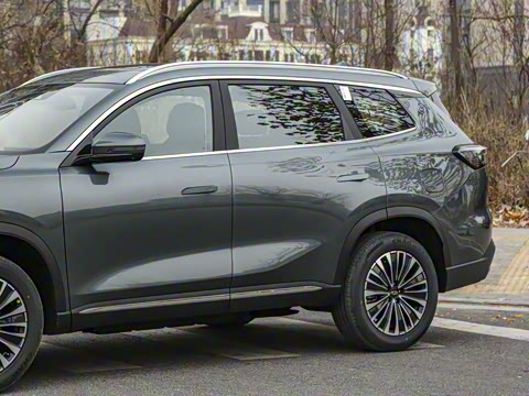 2025�� 1.5T 116km ������ 5��