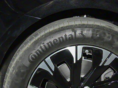 2025�� �������������