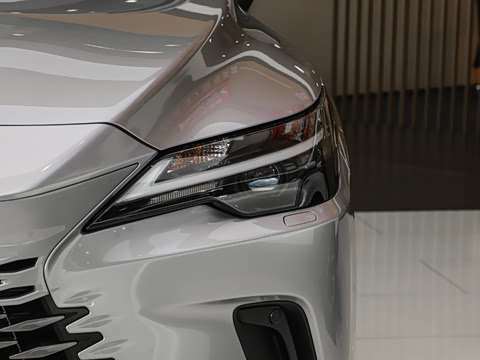 2025�� 300 ����������