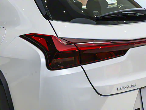 2024�� 300h ̽���