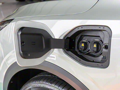 2025�� 445km ���ð�