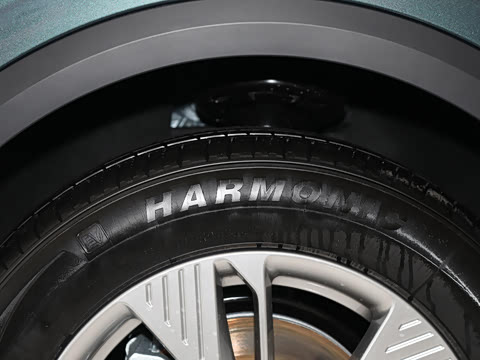 2025�� 445km ���ð�