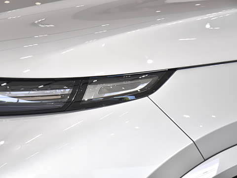 2025�� Max ���ܻ��°�