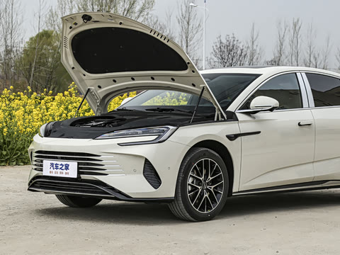 2025�� �Ǽݰ� DM-i 1.5T 125km �콢��