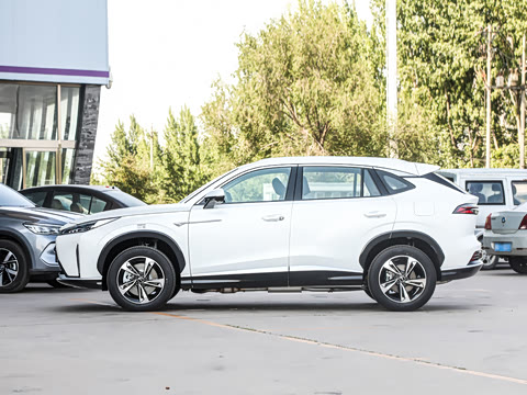 2024�� 135������