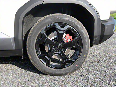 2025�� 501KM �������˻���