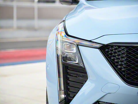 2025�� 28T �������ܰ�