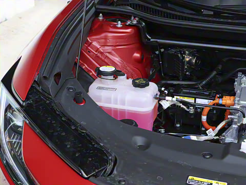 2025�� 630 MAX���а�