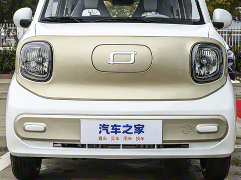 2025�� 222km ������