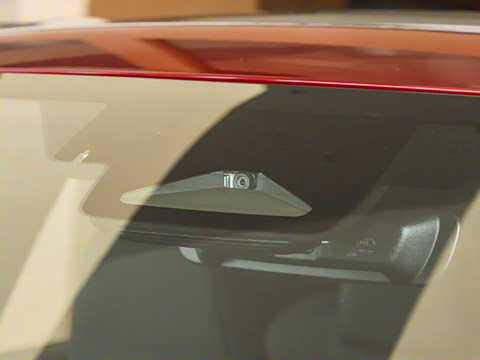 2025�� 300 ����������