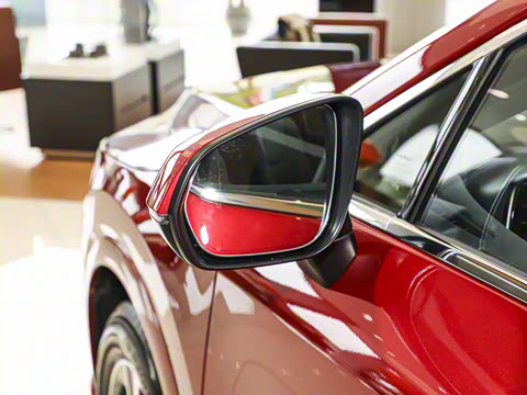 2025�� 300 ����������