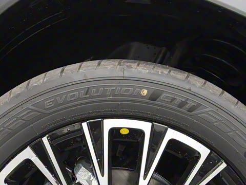 2025�� 300T ������Խ��