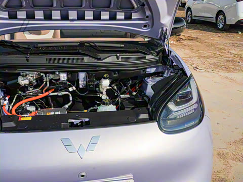 2025�� 333km ��Ϭ������