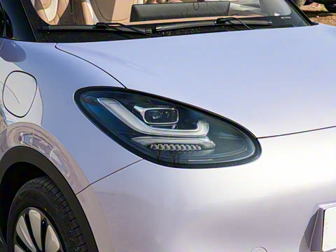 2025�� 333km ��Ϭ������