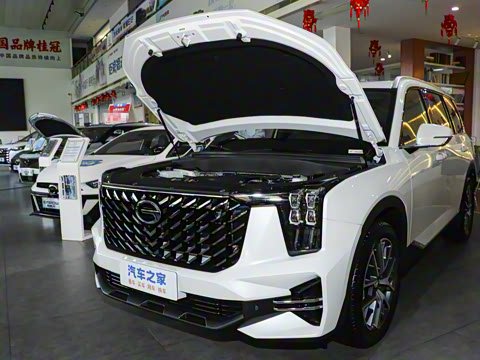 2025�� �캽ϵ�� 2.0TGDI ���������� 5��