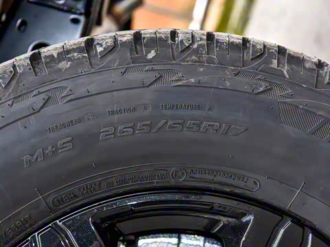 2025�� 2.0T ������