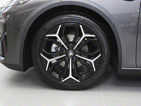 2025�� 300Ultra  �����Ǽ�AD PRO���̰�