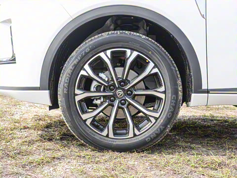 2025�� �ǻ������� 125km ���ܰ�