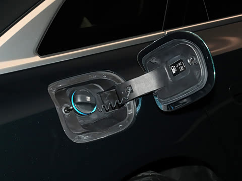 2025�� ������